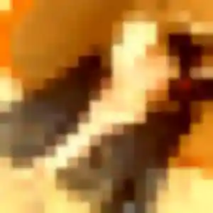 Photo exclusive de Iris, 29 ans à Aire-sur-l'Adour - plan discret