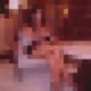 Severine, 34 ans, cherche un rencontre adulte à Aytré
