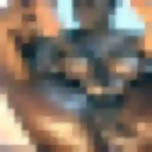 Profil de Graziella à Béligneux (19 ans) - rencontre adulte anonyme