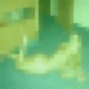 Profil de Rosemarie à Bethoncourt (33 ans) - rencontre adulte gratuit