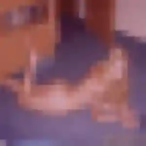 Janine, femme de 30 ans cherche rencontre adulte à Carry-le-Rouet