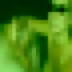 Rejoins Muriel, 43 ans à Châtillon-sur-Seine en t'inscrivant