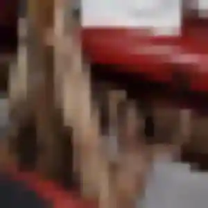Anne-Laure, fille de 23 ans propose rencontre adulte à Chaumont