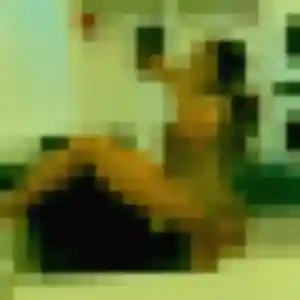 Jean-Marie, femme de 41 ans propose rencontre adulte à Cogolin