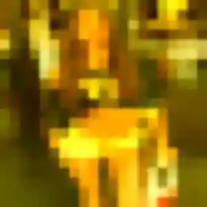 Photo exclusive de Sabine, 28 ans à Flayosc - rencontre sans lendemain