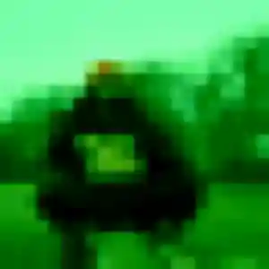Photo de Meriem à Fontanil-Cornillon (21 ans) - rencontre adulte anonyme