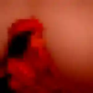 Wilhelmine, femme de 33 ans propose rencontre adulte à Gaillac