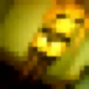 Photo sexy de Rym, 23 ans à Gleizé - plan discret