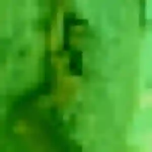 Isaure, femme de 41 ans veut rencontre adulte à Golbey