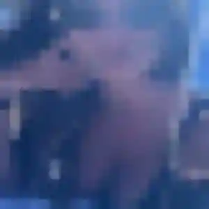 Contacte Berenice, 38 ans à Gramat en privé