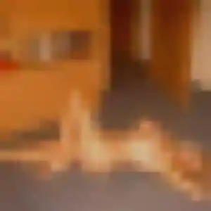 Amira (32 ans) à Grand-Charmont cherche un rencontre adulte maintenant