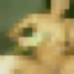 Xena, 32 ans, connectée à Haucourt-Moulaine pour une rencontre coquine