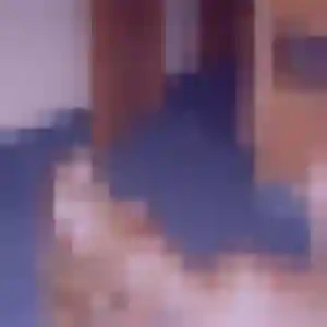 Profil de Louisa à Hœnheim (41 ans) - rencontre adulte gratuit