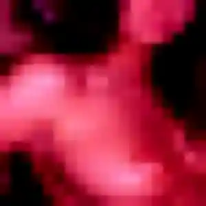 Photo exclusive de Marie-Therese, 27 ans à Huningue - plan discret