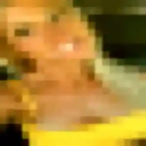 Candice, 22 ans, en ligne à Kaysersberg Vignoble pour un rencontre adulte