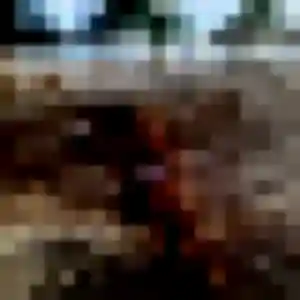 Profil de Daniela à La Souterraine (21 ans) - rencontre adulte anonyme