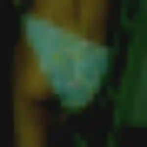 Photo privée de Nadia, 35 ans à Lagardelle-sur-Lèze - plan discret