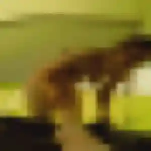 Charmante Zina, 37 ans à Lauris - découvrir son profil
