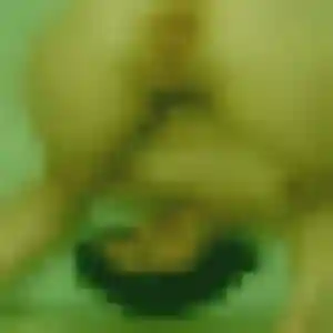 Idalina (36 ans) à Le Barp cherche un rencontre adulte maintenant