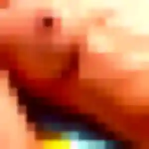 Wanda, 44 ans, disponible à Le Rouret pour une rencontre coquine