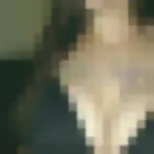 Capucine, femme de 26 ans propose rencontre adulte à Les Pennes-Mirabeau