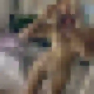 Melanie, 32 ans, en ligne à Lezoux pour une rencontre coquine
