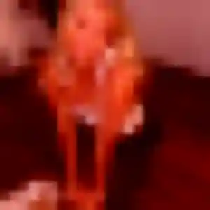 Photo de Orane à Limoges (35 ans) - rencontre adulte gratuit