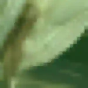 Charmante Marie, 39 ans à Marmande - la contacter