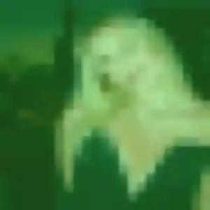 rencontre adulte à Montceau-les-Mines : profil de Axelle, 36 ans - inscription gratuite