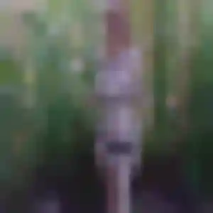 Photo de Marie à Mornant (24 ans) - rencontre adulte gratuit
