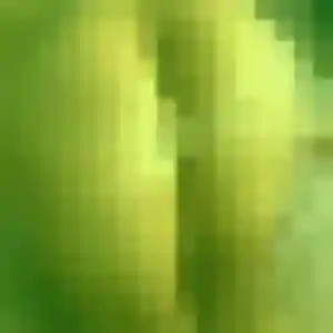 Celine de Mourenx, 19 ans - rencontre adulte discret