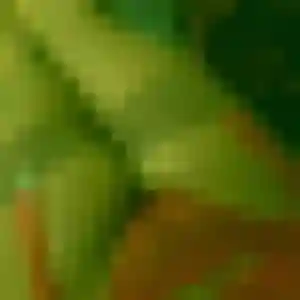 Myriam (28 ans) à Munster cherche un rencontre adulte ce soir
