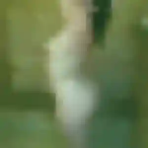 Amel, 29 ans, en ligne à Nailloux pour un rencontre adulte