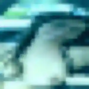 Bernadette, 43 ans, cherche un rencontre adulte à Niederbronn-les-Bains