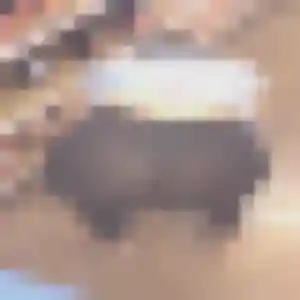 Photo privée de Zelda, 39 ans à Ornans - rencontre sans lendemain