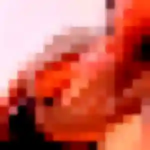 Cyrielle, femme de 28 ans propose rencontre adulte à Ornex
