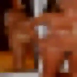 Coralie, 29 ans, dispo pour rencontre adulte à Pernes-les-Fontaines