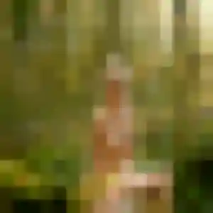 Lise, 36 ans, dispo pour rencontre adulte à Pontcharra