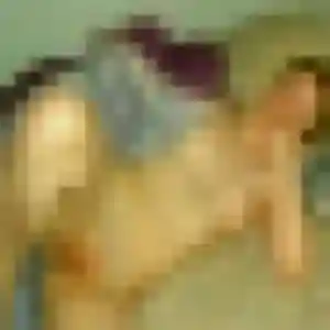 Anne-Charlotte, 24 ans, veut un rencontre adulte à Prades-le-Lez