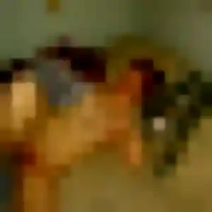Anne-Laure (32 ans) à Privas cherche une rencontre rapidement