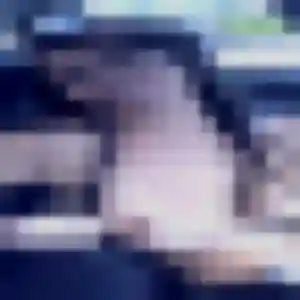 Belle Judith, 34 ans à Quetigny - voir sa photo