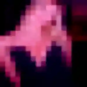 Verane, 39 ans, disponible à Roquettes pour une rencontre coquine