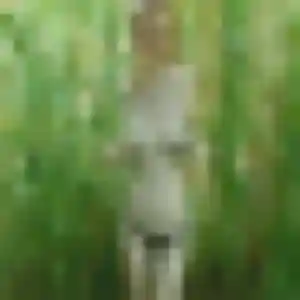 Photo de Samantha à Sadirac (42 ans) - rencontre adulte gratuit