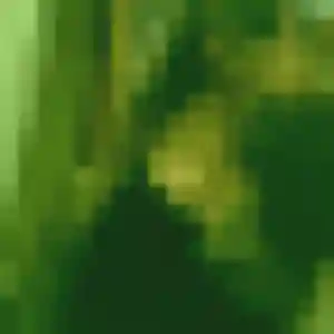 Photo de Lina à Saint-Christol-lez-Alès (33 ans) - rencontre adulte discret