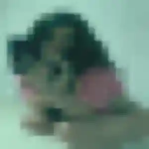 rencontre adulte à Saint-Gaudens : photo de Ursula, 23 ans - accès libre