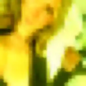 Contacte Eliane, 38 ans à Saint-Martin-la-Pallu en t'inscrivant