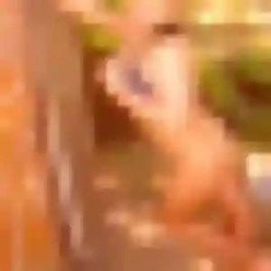 Blandine, 32 ans, veut un rencontre adulte à Saint-Mitre-les-Remparts