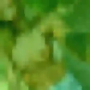 Profil de Berengere à Saint-Quentin-la-Poterie (44 ans) - rencontre adulte discret