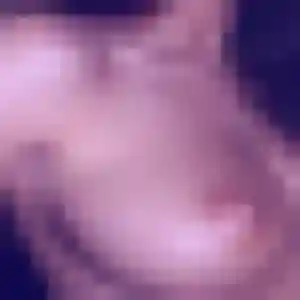 Sexy Berengere, 23 ans à Sainte-Menehould - voir sa photo