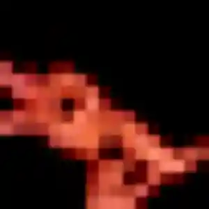 Photo perso de Lise, 34 ans à Séméac - rencontre coquine